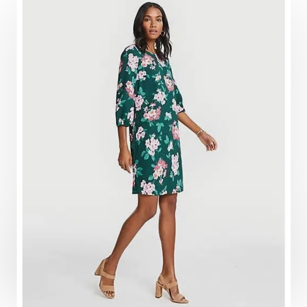 Ann Taylor Green Floral Dress